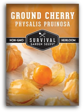 Ground Cherry Seeds for Planting – High Yield Heirloom Cape Gooseberry with Sweet Golden Fruit in Papery Husks, Non-GMO Golden Berry Garden Favorite - Survival Garden Seeds (1 Pack)