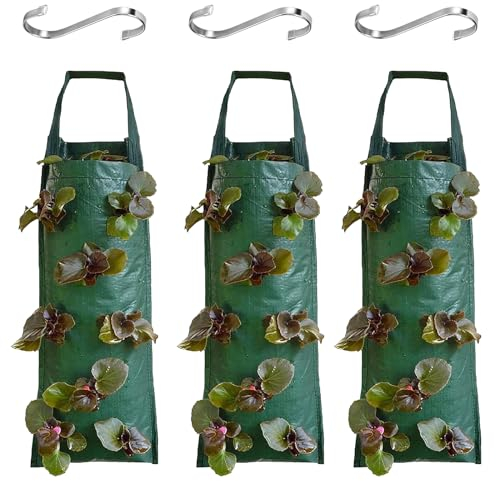 DAZZTIME Sacchi per Piantare Fragole,3 Pezzi Sacco per Piantare Fragole da Appendere,Sacchi per Piante,con 8 Fori,per Coltivazione Piantare Verdure Fiori Fragole a Casa Giardino Balcone