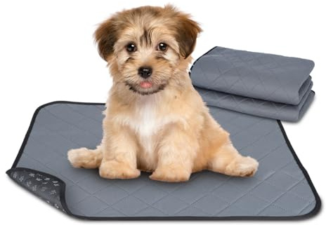 Nobleza 2 Stück Welpenunterlagen Waschbar, 60 x 45 cm Wiederverwendbare Matten für Hunde, Schnell Absorbierend Puppy Training Pads für Sofa und Boden, Grau
