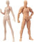 AXITWXIT Manichino per disegnare figure, strumenti da disegno, manichino per artisti da disegno figure modello per schizzi, pittura, set per artisti maschi+femmina (colore della pelle)