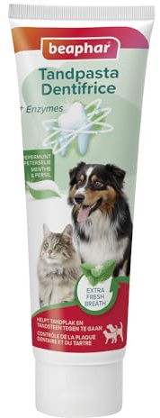 Mint and Parsley Toothpaste