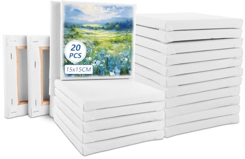 ZOFUN 20 Stück Mini Leinwand zum Bemalen15x15cm Leinwand mit Keilrahmen, Weiß Mini Keilrahme für Kunst & Handwerk (weiß)
