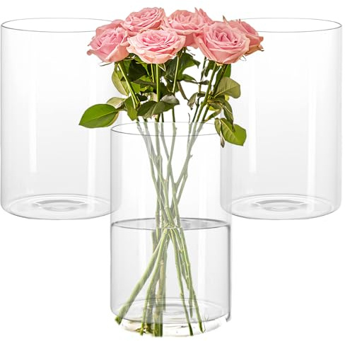 3 vasi in vetro per decorazione da tavolo, 15 cm, cilindri in vetro per candele, cilindri in vetro, vaso per fiori, vasi cilindrici per vasi, matrimoni, fiori, candele, conchiglie