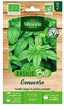 Vilmorin - Basilic Genovese Bio