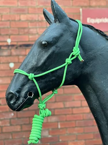Hi-Viz Reflektierendes Seil Halfter mit Führstrick Se Voll Verstellbar (Pony, Grün)