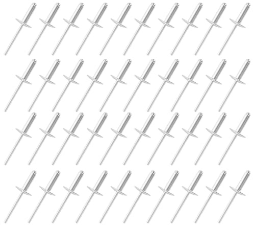 YKUKIZEE 100Pcs Large Flange Blind Rivets 4.8 X 10mm, Dome Rivets, Aluminium Pop Rivet for Metal Leather Tinplate Fastening