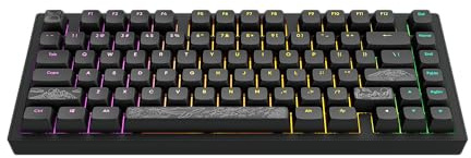Dark Project ALU81A TERRA NOSTRA R2 (schwarz) – kabelgebundene mechanische Gaming-Tastatur, ANSI ENG, Hotswap, G3MS Moonstone gefettete Schalter und Stabilisatoren, flexible Dichtungshalterung