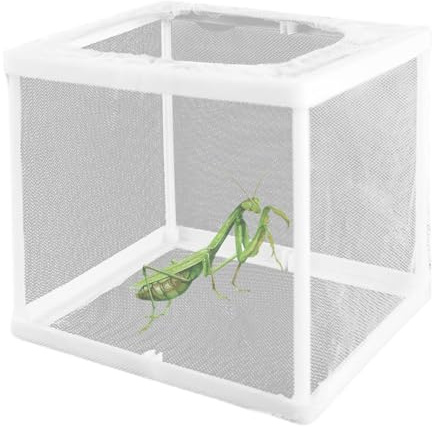 Peosaard 2 st bön Mantis livsmiljö, 6,3 x 5,9 x 5,5 bön Mantis äggfodral, inkubator för tarantlar, spindlar, sniglar, syrsor och myror och andra små djur, kit