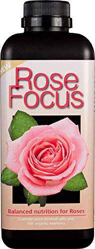 3 x Rose Focus Unique Liquid Concentrated Fertiliser 1 Litre