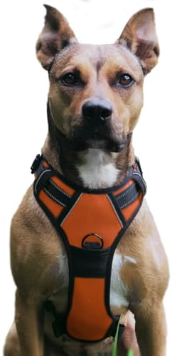 No Pull Hundegeschirr, Verstellbar Atmungsaktiv Reflektierend Weich Gepolstert Hunde Geschirr, Brustgeschirr für Hunde (Orange, M)