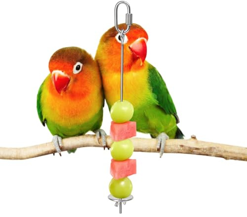 Brochette de nourriture pour cage, porte-pieds à fruits en acier inoxydable - Brochette à légumes perruches, pour cage, ara, cacatoès, perruche, inséparable, petit animal