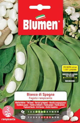 Fagioli Rampicanti Bianco di Spagna 25 Semi