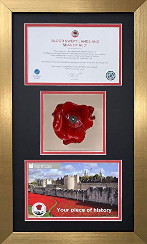 Tower of London Poppy Display Case 3 Inch Deep Shadow Box Frame 22.5 x 13.5 Inch Memorabilia Presentation for Ceramic Poppy Certificate and Photo | Black Mount - Gold Frame | Made in UK
