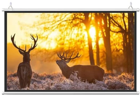 SXKJQER HD Rolloleinwand Präsentationswand Projektionsfläche, Leinwand Beamer 16:9 HD Faltbarer Beamer Leinwand, Freistehend Herunterrollbarer Beamer Leinwand Knitterfreier Für Heimkino(16:9,50)