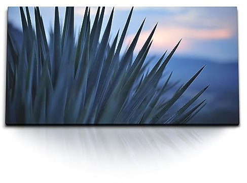 Paul Sinus Kunstdruck Bilder 120x60cm Kaktus Pflanze Stachelpflanze Grün Sonnenuntergang