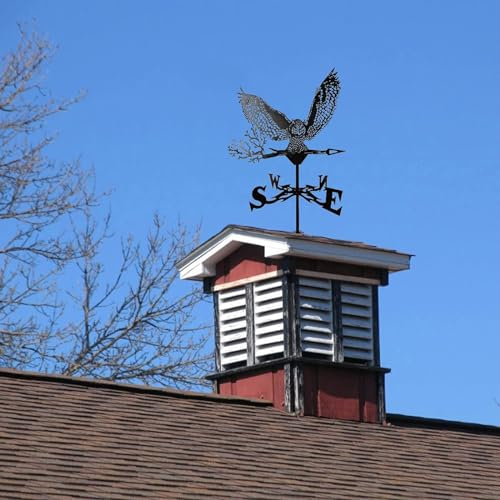 YUZDNM Veleta De Viento - Weathervane - Veletas De Viento para Tejado, Veleta De Hierro, Metal, Retro, Indicador De Dirección del Viento, Decoración De Adorno para Jardín, Patio, Veleta