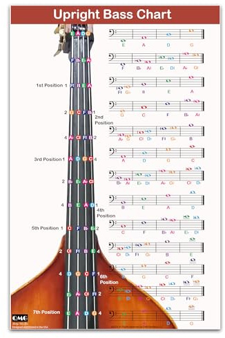QMG Upright Bass Fingering Chart with Color-Coded Notes, Double Bass Chart Suitable for All Levels, Laminated, Size 11” x 17”