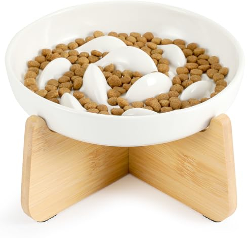 PETTOM Ciotola Anti Ingozzamento Gatto Rialzata, Ceramica Ciotola Gatto Anti Ingozzamento, Ciotole Alimentazione Lenta Gatti Cane Con Bordi Accentuati
