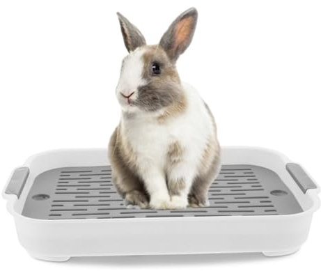 Kaninchenstrauder Tablett 2 Tier Kaninchendrüsenkasten Plastik Kaninchen Toilette Rechteckige Hasen Pier Toilette Töpfchen -Trainer Bettwäsche -Box für Meerschweinchen Hasen Frettchen Hamster Igel