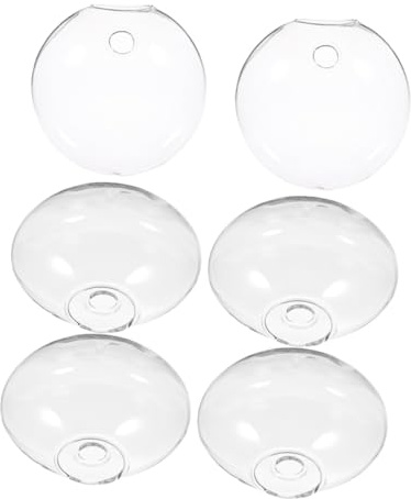 Vaso da Parete in Vetro per Piante Idroponiche, 6 Pezzi