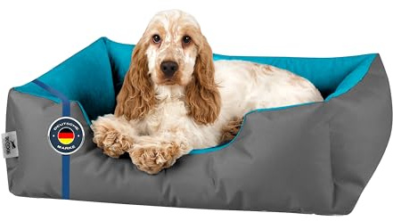 BedDog Hundebett LUPI Hundekissen Hundekorb mit Waschbarem Bezug | Hundesofa Schlafplatz und Liegeplatz für Alle Hunderassen, Formstabil Gepolstert, Sechs Größen von S bis XXXL