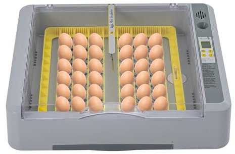 Eierbrutmaschine, Digitale Geflügelbrutmaschine, Mehrzweckbrutmaschine für 36 Eier - Automatischer Eierschlüpfassistent - Bruteier, Enteneier, Gänseeier - LED Anzeige