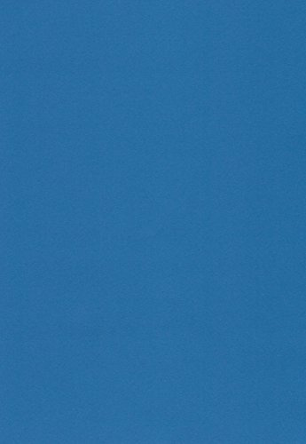 100 Blatt DIN A4 Papier matt blau 90g/m² von WILLSTON - komplett durchgefärbt, mögliche Verwendung: Einladungen, Einlegeblätter für Alben, Hochzeitskarten, Fotoalbum, Bastelarbeiten und vieles mehr