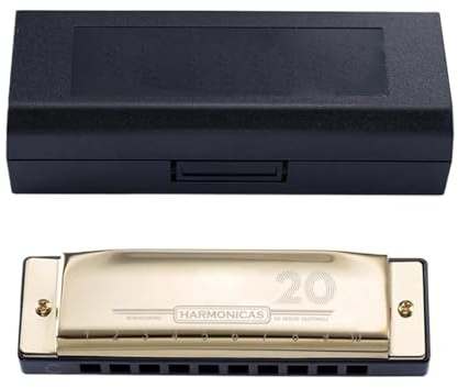 Erwachsene Mundharmonika 10-Loch-Mundharmonika mit Koffer Harfe Musikinstrument C-Ton Blues(Gold)
