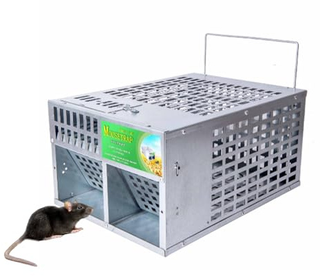 Piège de Souris d'animaux Vivants Double Porte Humane Cage réutilisable intérieur extérieur Contrôle de ravageur Efficace en Acier galvanisé 30 x 22 x 15cm