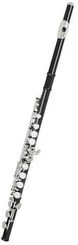 Querflöte Instrument Flöte Mit 16 Geschlossenen Löchern C-Tonart Kupfernickel Konzertflöte Querflöt, Holzblasinstrument Mit E-Tonart-Etui Zubehör(A)