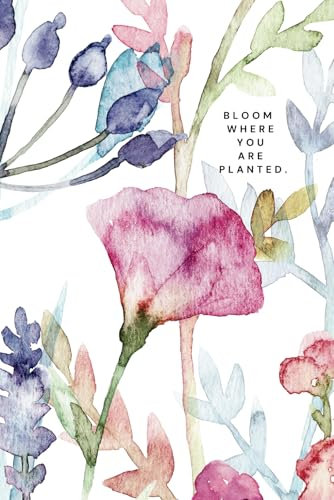 Bloom where you are planted: 2025