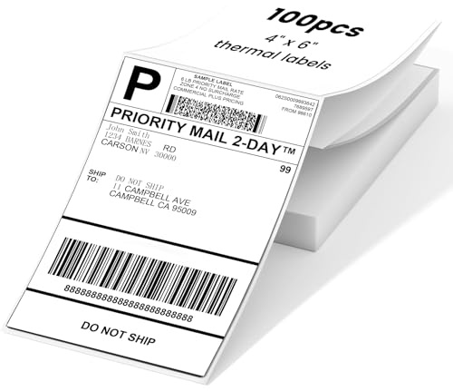 Phomemo 4 x 6 DHL, 100 ark - termiska etiketter kompatibla med Phomemo MUNBYN och Polono-skrivare (vit, 100 x 150 mm)