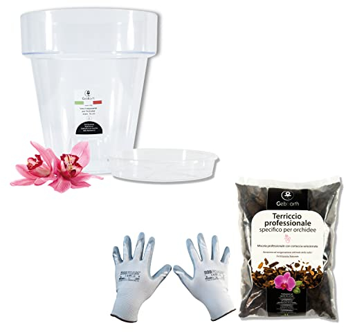 GebEarth - Kit per Rinvasare le Orchidee: Vaso per Orchidee Trasparente, 4 fori di drenaggio e Sottovaso + Terriccio Specifico per Orchidee da 1 lt + Guanti per Giardinaggio【 vaso diametro 16 cm 】