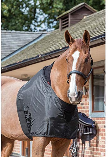 LeMieux Anti Rub Bib in Black with Elastic Belly Straps - Horse Wither Protection - Perfect Fit Chest Guard - Large
