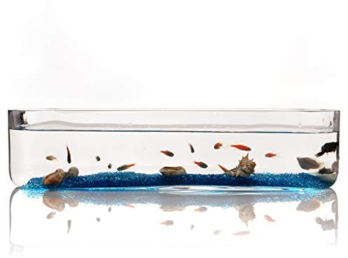 Liudan Fischtank/Aquarium mit Persönlichkeit Kreative Glas Rechteckigen Aquarium Aquarium Wohnzimmer Büro Desktop Aquarium Dekoration Aquarium Becken (Größe : S)