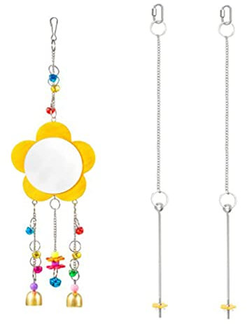 Pollo Con Campane Di Colore Per Galline Galli Appeso Altalena Giocattolo Veggie Fruit Feeder Hanger Per Pappagallo