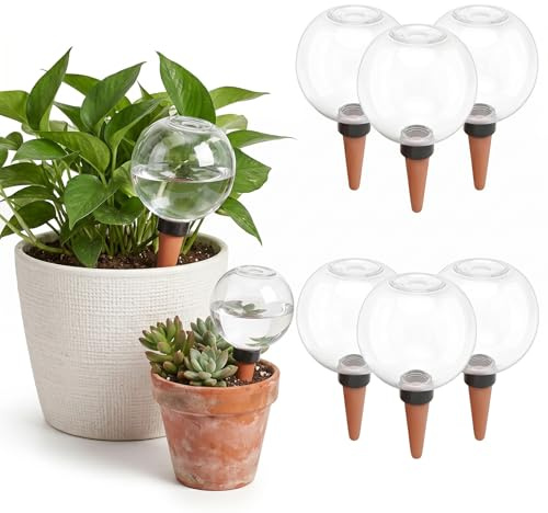 6 Stück Bewässerungskugeln für Pflanzen 500ml, Automatische Pflanzenbewässerung & Selbstbewässerung, Transparente Wasserkugeln für Zimmerpflanzen, Balkon, Garten – automatischer Wasserspender (Weiß)