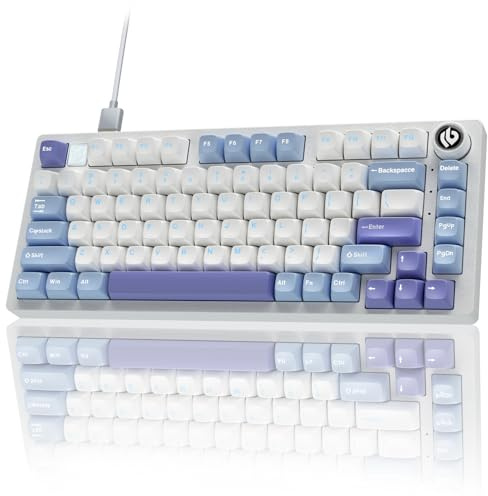 CORBOBO x LEOBOG Hi75 Tastiera meccanica cablata, tastiera dal suono cremoso in alluminio, layout 75%, NKRO, interruptori lineari pre-lubrificati sostituibili a caldo, gioco