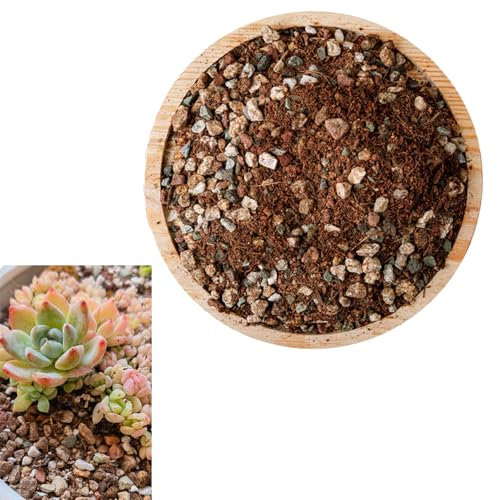 Terriccio per Piante Grasse e Bonsai, Terriccio e Percentuale Mista, Terriccio di Ghiaia Naturale Nutriente