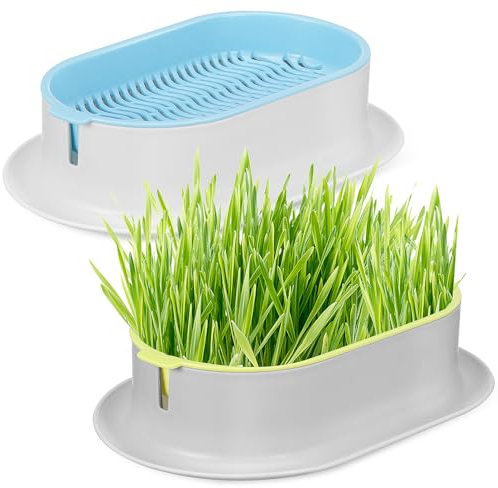 OFFSCH Katzengras-pflanzgefäß Für Zuhause Kreatives Katzengras-Box-kit Hydrokultursystem Für Katzen