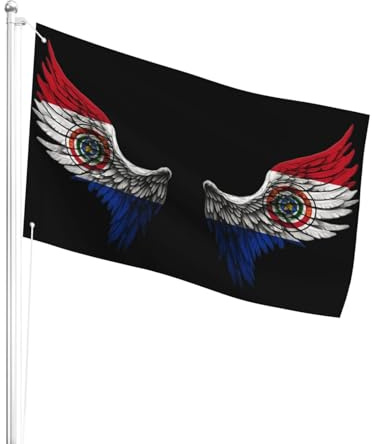 Color Vivo Banderas Personalizada Paraguay Bandera De Terraza Reforzada Pride Flag Para Balcón, Hogar, Césped, 3X5 Ft