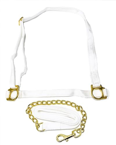 Welsh Show Halter with Chain Lead Rein – White Webbing & Brass Fittings – Adjustable Headcollar for Pony & Cob – Made in the UK (Pony)