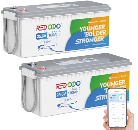 Redodo 24V 100Ah(2 Pack) Batterie Lithium avec Bluetooth 2560Wh Batterie LiFePO4 avec Protection Basse Température BMS 100A pour Camping-Cars/Bateau/Hors Réseau/Stockage Energie Domestique