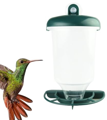 Mangeoires à oiseaux - Mangeoire à oiseaux à fixer sur fenêtre - Distributeur de nourriture transparent avec prise en main sûre - Station d'alimentation décorative pour colibris - Jardin, arrière-cour