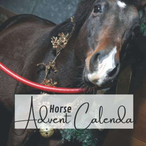 Horse Advent Calendar: New incredible facts every day for Advent - The Pre-Christmas book for horse lovers