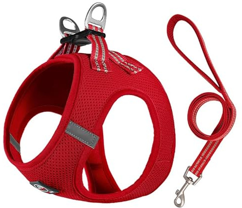 Lalazoo Miami Hundegeschirr Step-in – No-Pull leicht & atmungsaktiv gepolstert & reflektierend verstellbar mit Doppel-D-Ring & Sicherheitsverschluss für kleine Hunde Welpen inkl. Leine – Rot, S