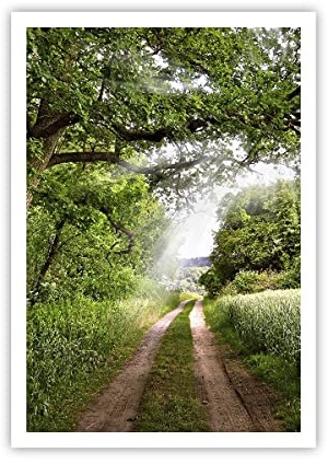 ARTTOR Poster Wandbild Kunstdruck 70x100cm Landschaften Wald - 2637 - P2X | Weg Natur Vertikal ohne Rahmen Wohnzimmer Schlafzimmer Küche Büro Wanddeko Kunstposter ARTTOR