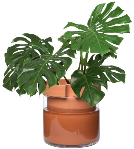 Phoenix Vine 25,4 cm selbstbewässernder Pflanztopf aus Terrakotta-Ton, mit Glasspeicher für Zimmerpflanzen, Kräuter, Blumen, 1er-Set, 52-A-I-1