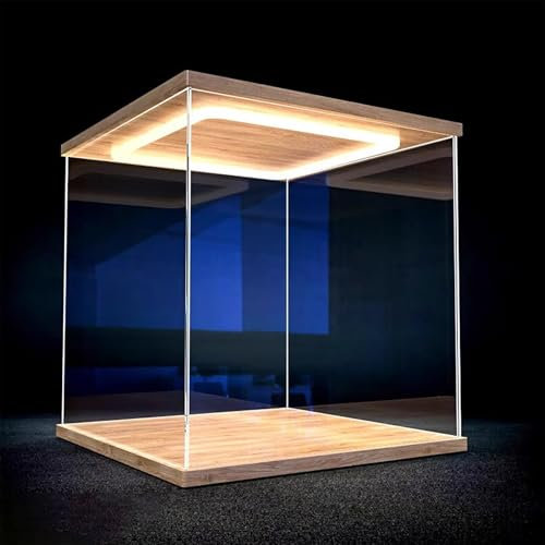Vibeo Acryl Vitrine Acrylvitrine mit LED-Beleuchtung, Staubdichte Acrylbox mit Tür, Transparente Vitrine mit Sockel, Vitrinenständer für Minifiguren, Autos und Spielzeug(20x15x20cm(8x6x8))