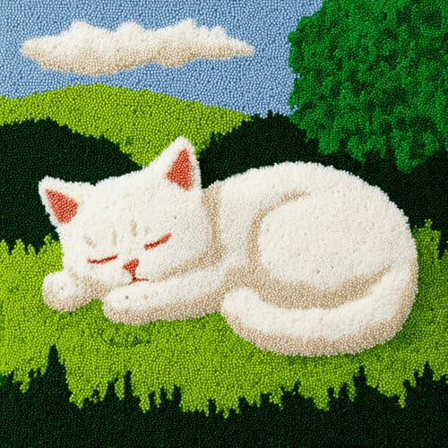 Juego de cojines de nudos para relajarse, kit de cojín de gancho para atar sin estrés, completo con instrucciones y herramientas, para niños y adultos, principiantes, 43 x 43 cm, gato durmiendo